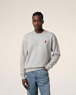 Pull Ami paris sans capuche